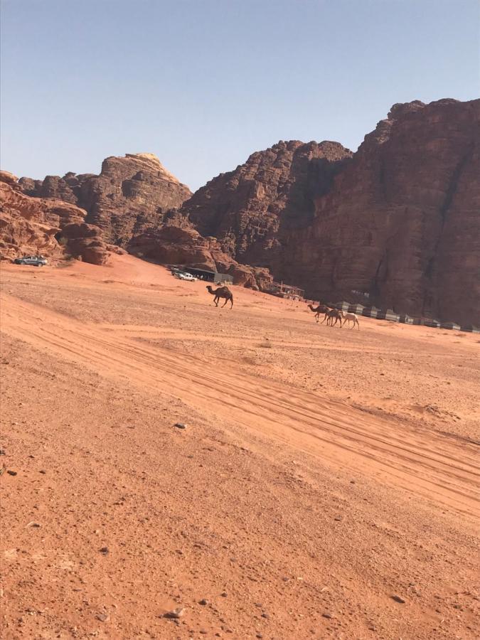 Hotel Bedouin House Camp Wadi Rum Zewnętrze zdjęcie
