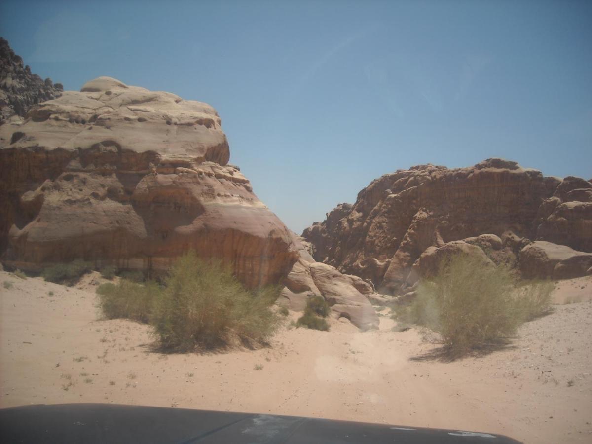 Hotel Bedouin House Camp Wadi Rum Zewnętrze zdjęcie