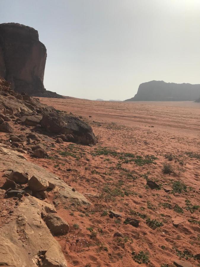 Hotel Bedouin House Camp Wadi Rum Zewnętrze zdjęcie