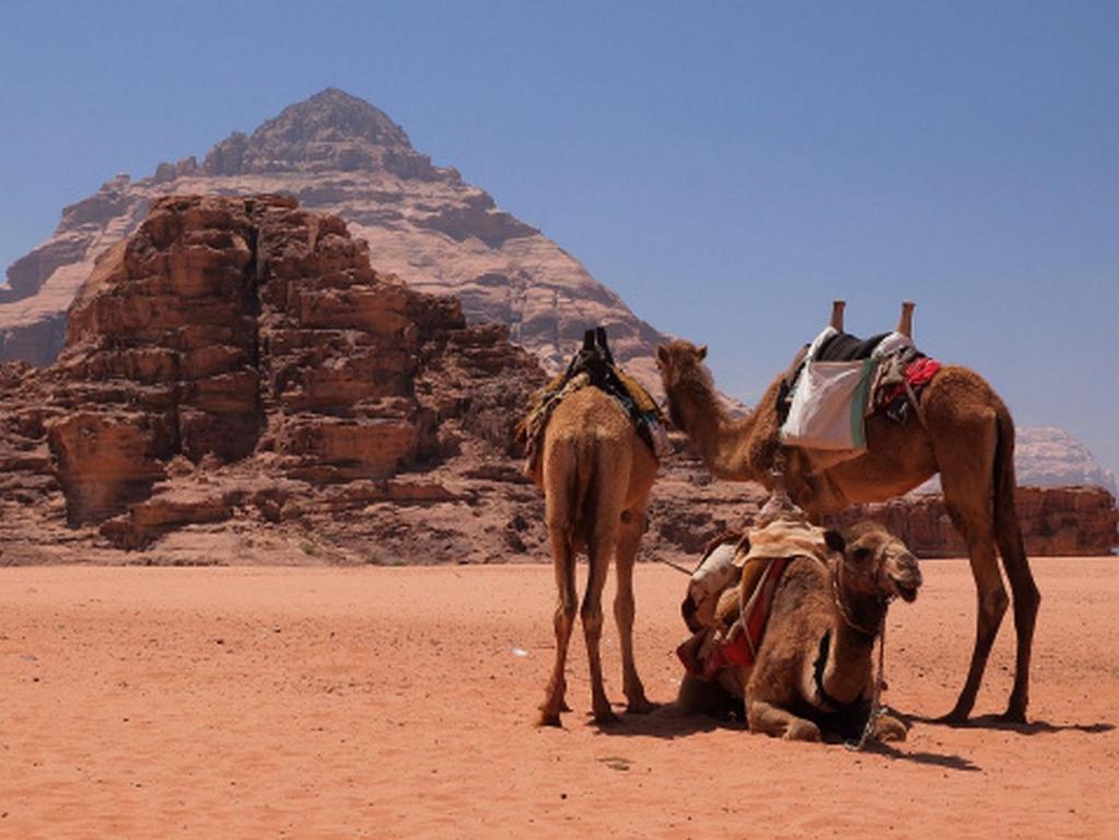 Hotel Bedouin House Camp Wadi Rum Zewnętrze zdjęcie